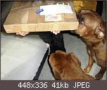 halbverhungerte-bx-paket-01-01.jpg