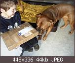 halbverhungerte-bx-paket-02-01.jpg