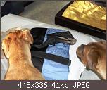 halbverhungerte-bx-paket-03-01.jpg