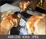 halbverhungerte-bx-paket-04-01.jpg