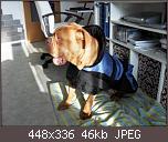 halbverhungerte-bx-paket-05-01.jpg