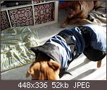 halbverhungerte-bx-paket-06-01.jpg