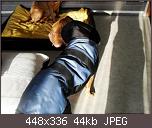 halbverhungerte-bx-paket-07-01.jpg