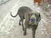 Winter 2009-1019