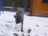 Ball Spielen