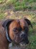 Benutzerbild von Tyson