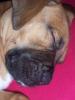 Benutzerbild von Nina