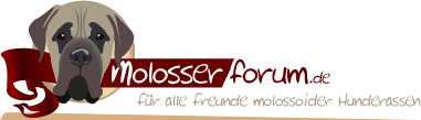 Molosserforum - Das Forum für Molosser